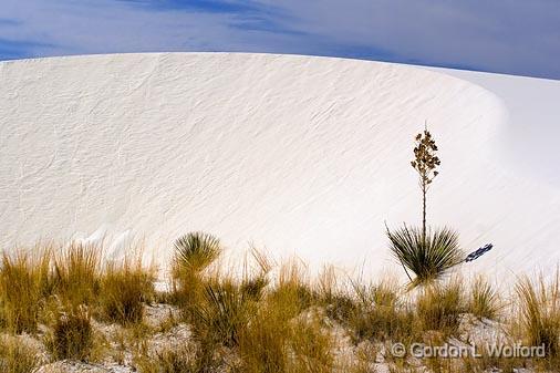 White Sands_31998.jpg - Photographed at the White Sands National Monument near Alamogordo, New Mexico, USA.